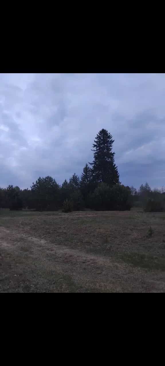 Беларусь, Гродненская область, Ивьевский сельсовет, деревня Луговая, 21, фото 8