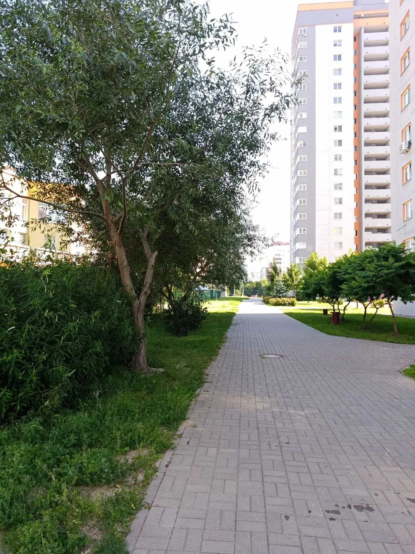 Беларусь, Минск, улица Алибегова, 24