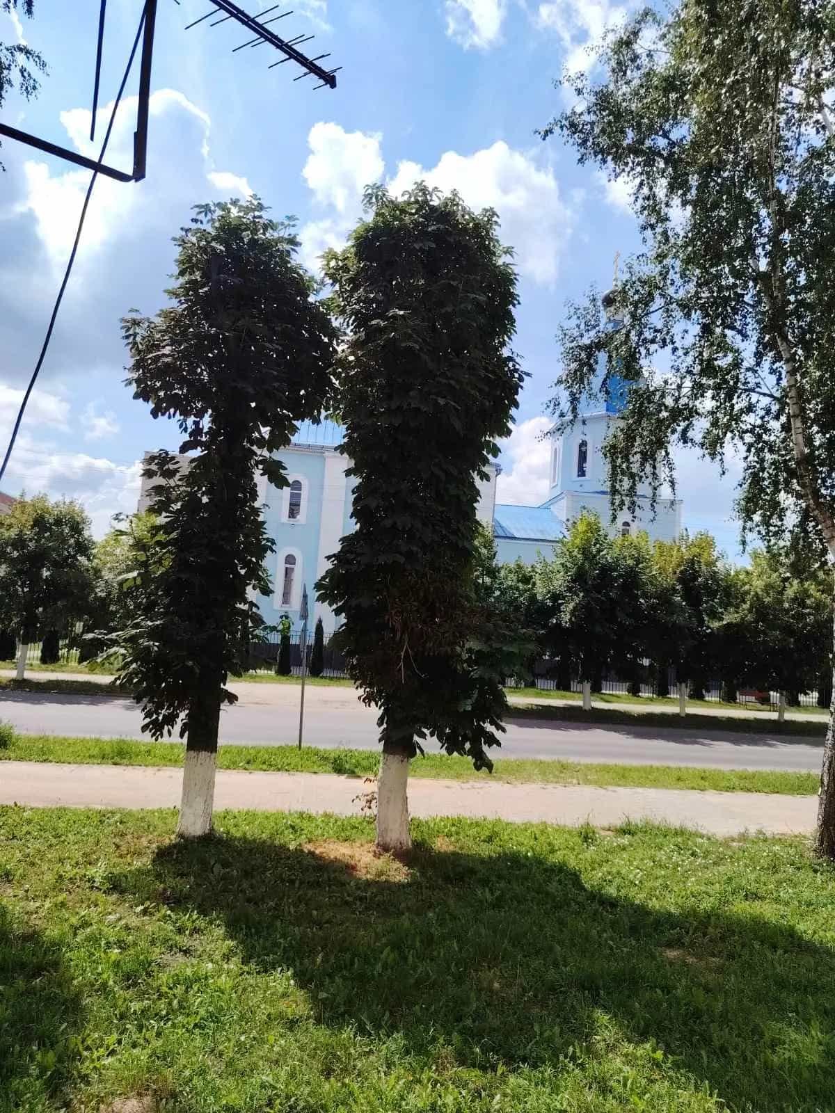 Беларусь, Минская область, Смолевичи, Советская улица, 139, фото 18