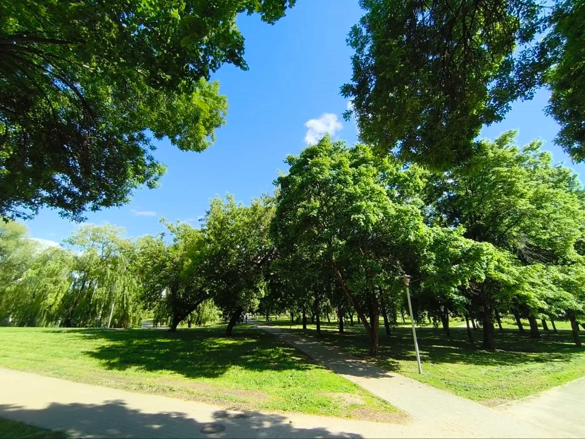 Беларусь, Минск, улица Болеслава Берута, 11А, фото 22