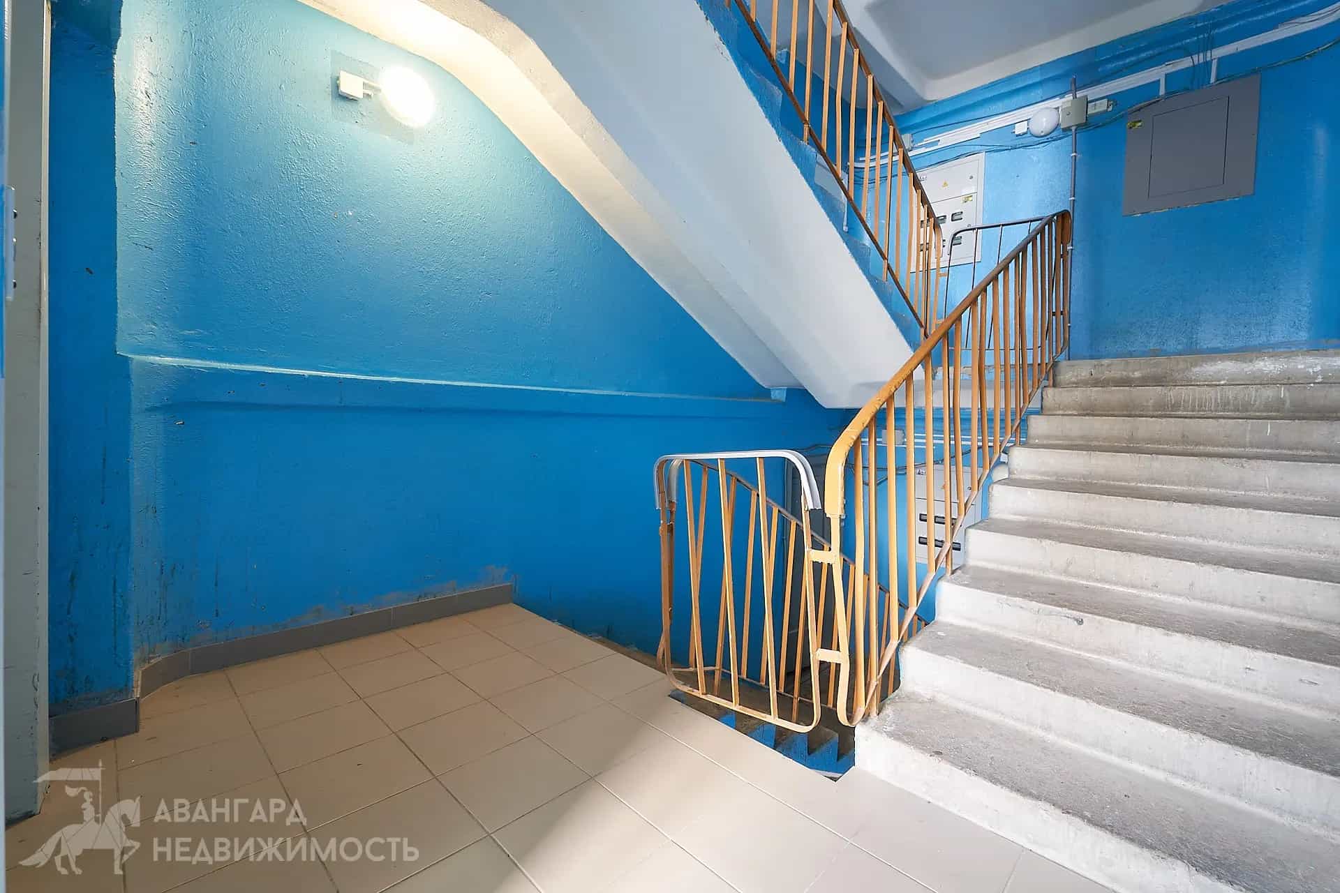 Беларусь, Минск, улица Жудро, 31, фото 21