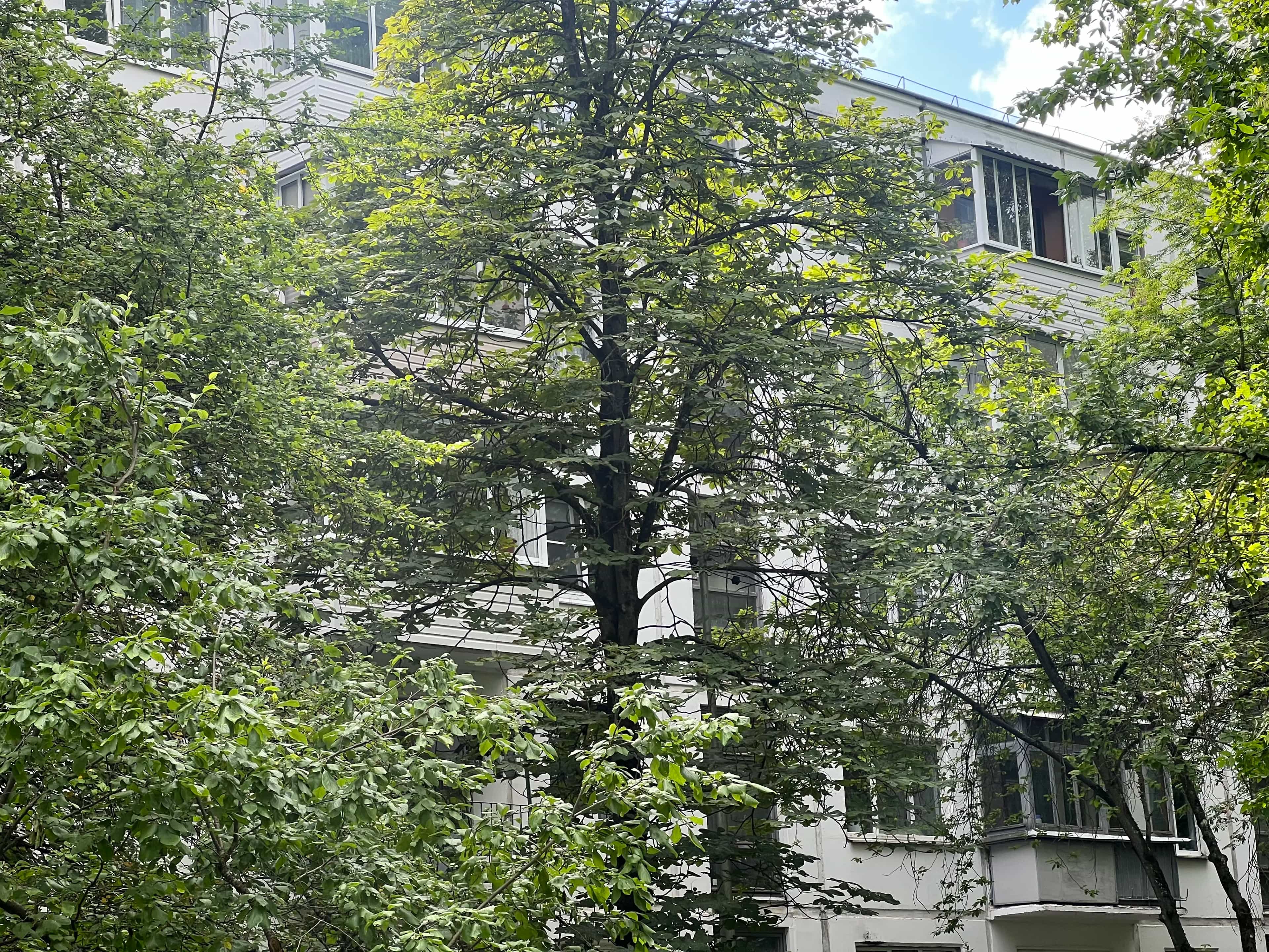 Беларусь, Витебск, улица Правды, 39к2, фото 7