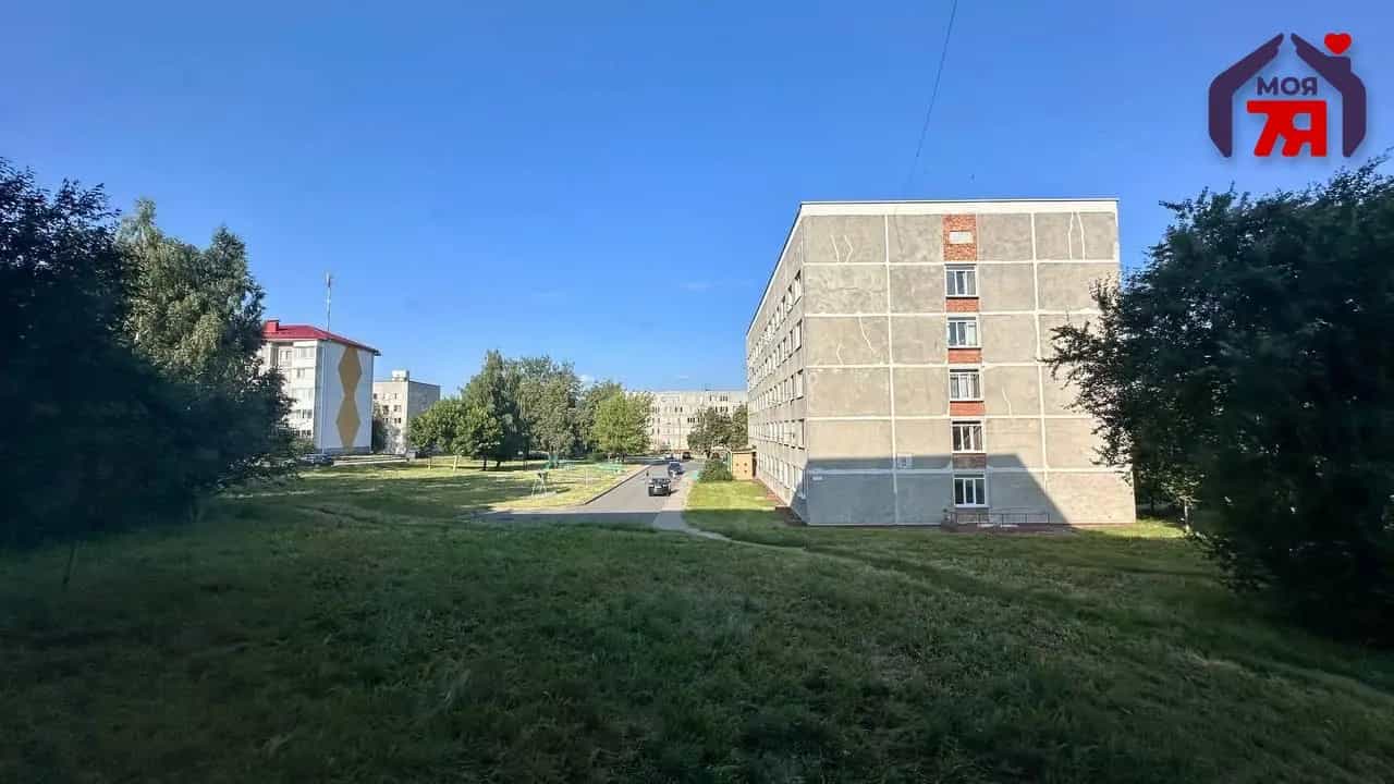 Беларусь, Минская область, Слуцк, Молодёжная улица, 4, фото 25