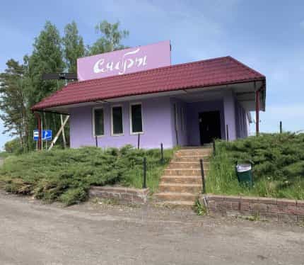 Беларусь, Минская область, Дзержинский район, М-1, 313-й километр, 2, фото 3
