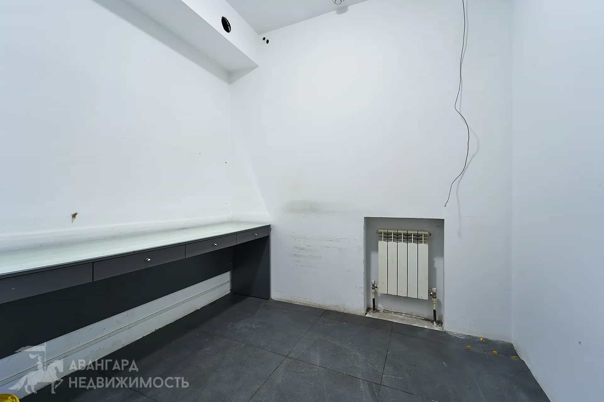 Беларусь, Минск, проспект Независимости, 58к38, фото 12