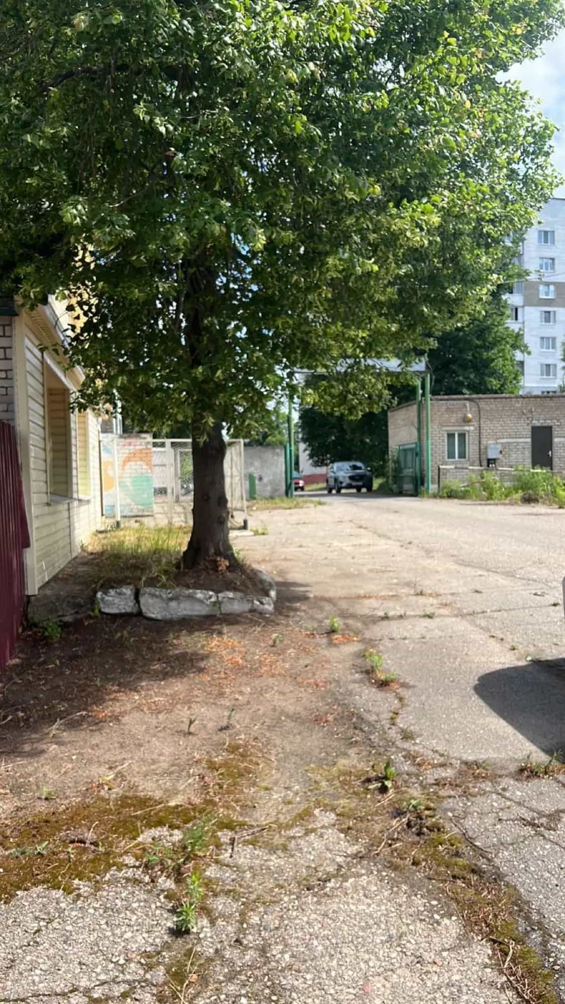 Беларусь, Витебская область, Орша, улица Владимира Ленина, 214А/25, фото 18