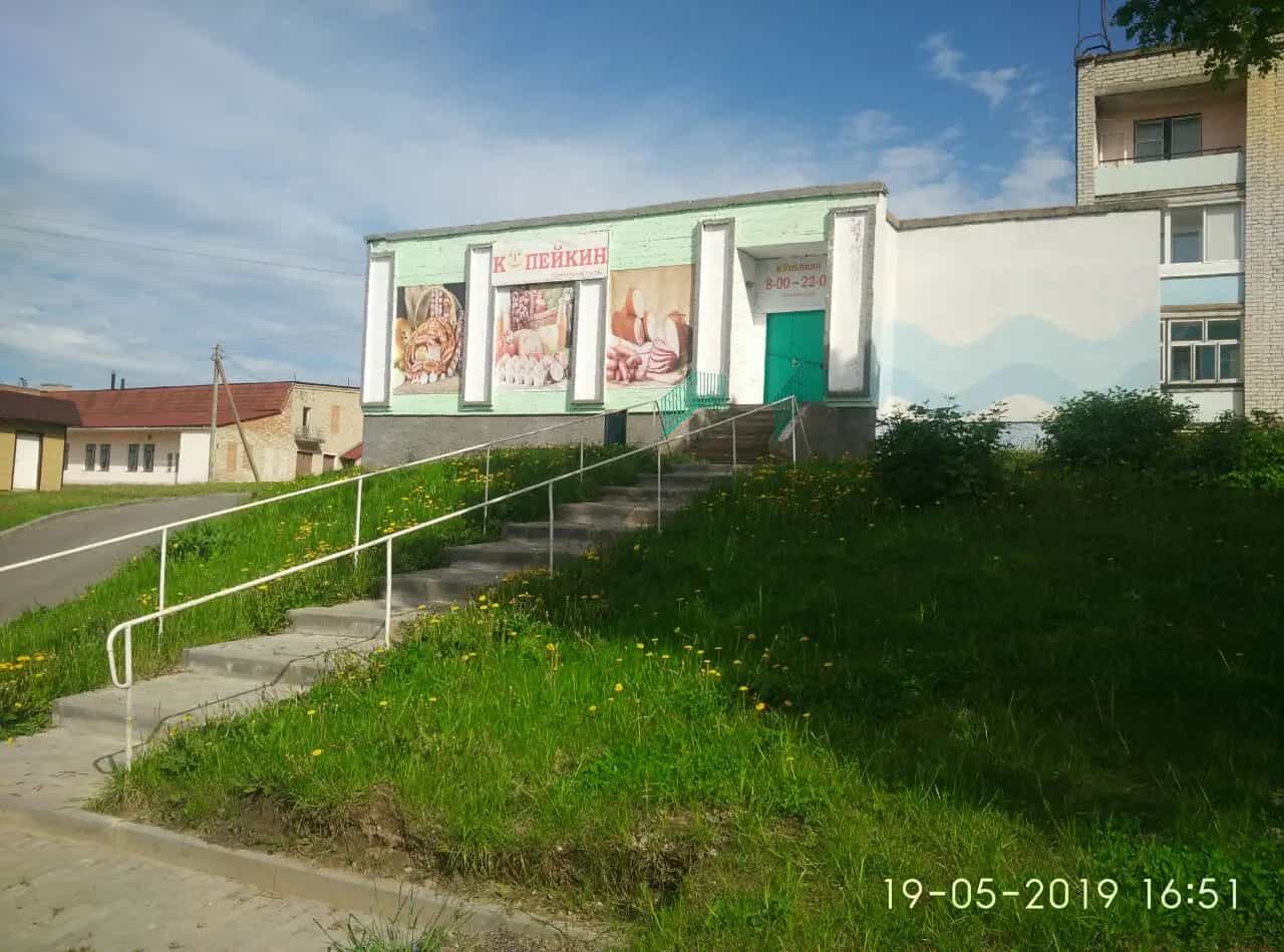 Беларусь, Минская область, Несвижский район, городской посёлок Городея, Вокзальная улица, 21, фото 8