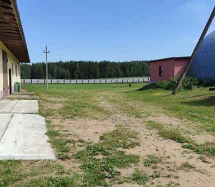 Беларусь, Минская область, Смолевичский район, Заболотский сельсовет, деревня Старина, Центральная улица, 30А, фото 5