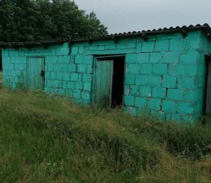 Беларусь, Минская область, Крупский сельсовет, агрогородок Гапоновичи, Южная улица, 12, фото 12