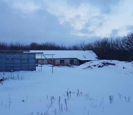 Беларусь, Брестская область, Барановичский район, городской посёлок Городище, улица Гуцева, 37Б, фото 4