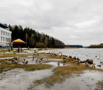 Беларусь, Минский район, Ждановичский сельсовет, 109, фото 4