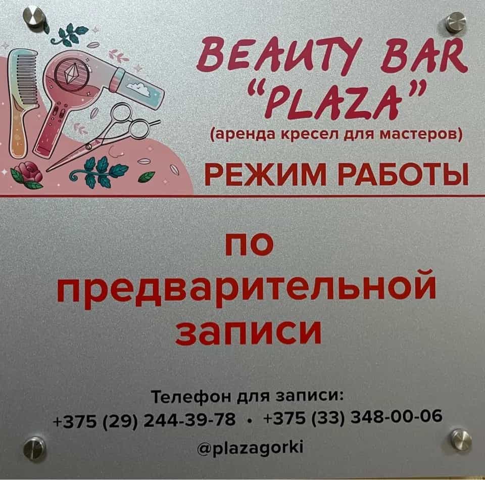 Беларусь, Могилёвская область, Горецкий район, Горки, Советская улица, 9, фото 2