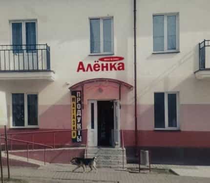 Беларусь, Гомельская область, Добруш, улица Князя Паскевича, 18