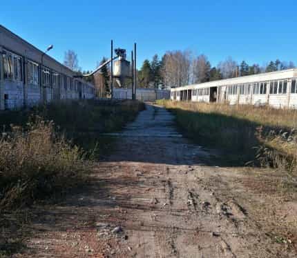 Беларусь, Витебская область, Новополоцк, Армейская улица, 74, фото 2