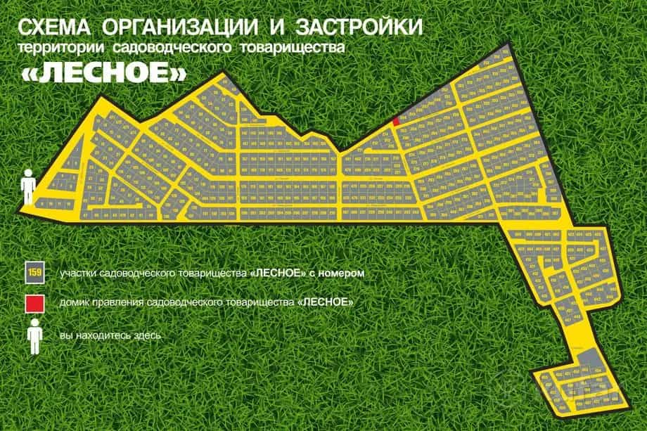 Беларусь, Минская область, Смолевичский район, Усяжский сельсовет, садоводческое товарищество Лесное, 172, фото 3