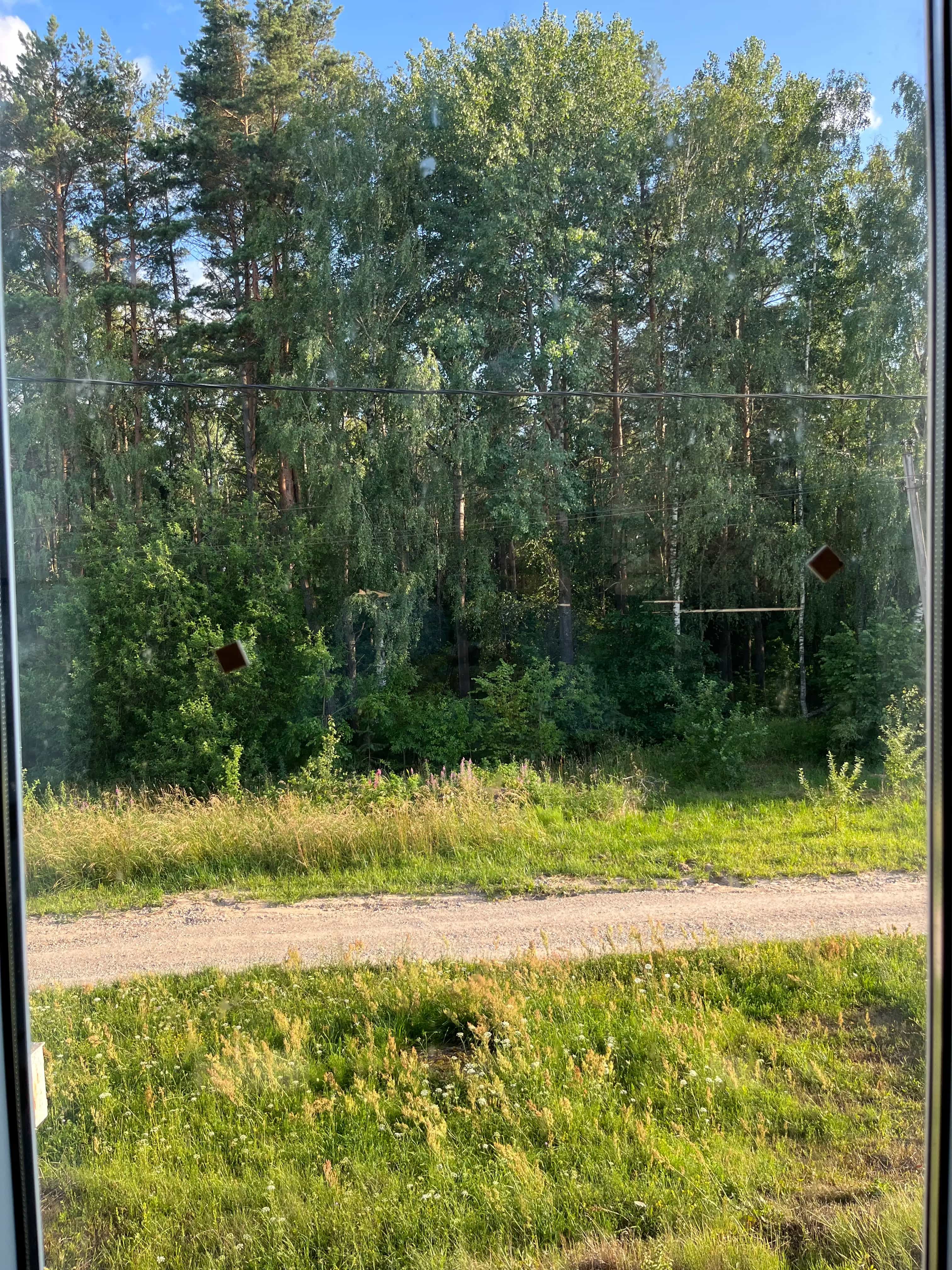 Беларусь, Гродненский район, Коптёвский сельсовет, деревня Коробчицы, Дивная улица, 79, фото 6