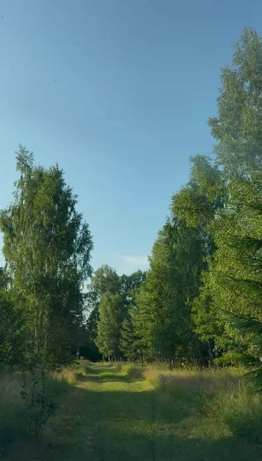 Беларусь, Минская область, Пуховичский сельсовет, деревня Марковчизна, Центральная улица, 32А, фото 29