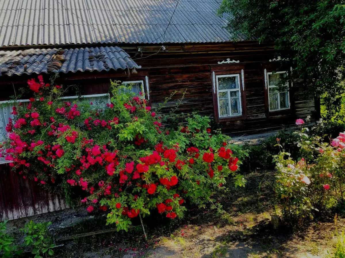 Беларусь, Гомельская область, Наровлянский район, агрогородок Головчицы, Октябрьская улица, 13