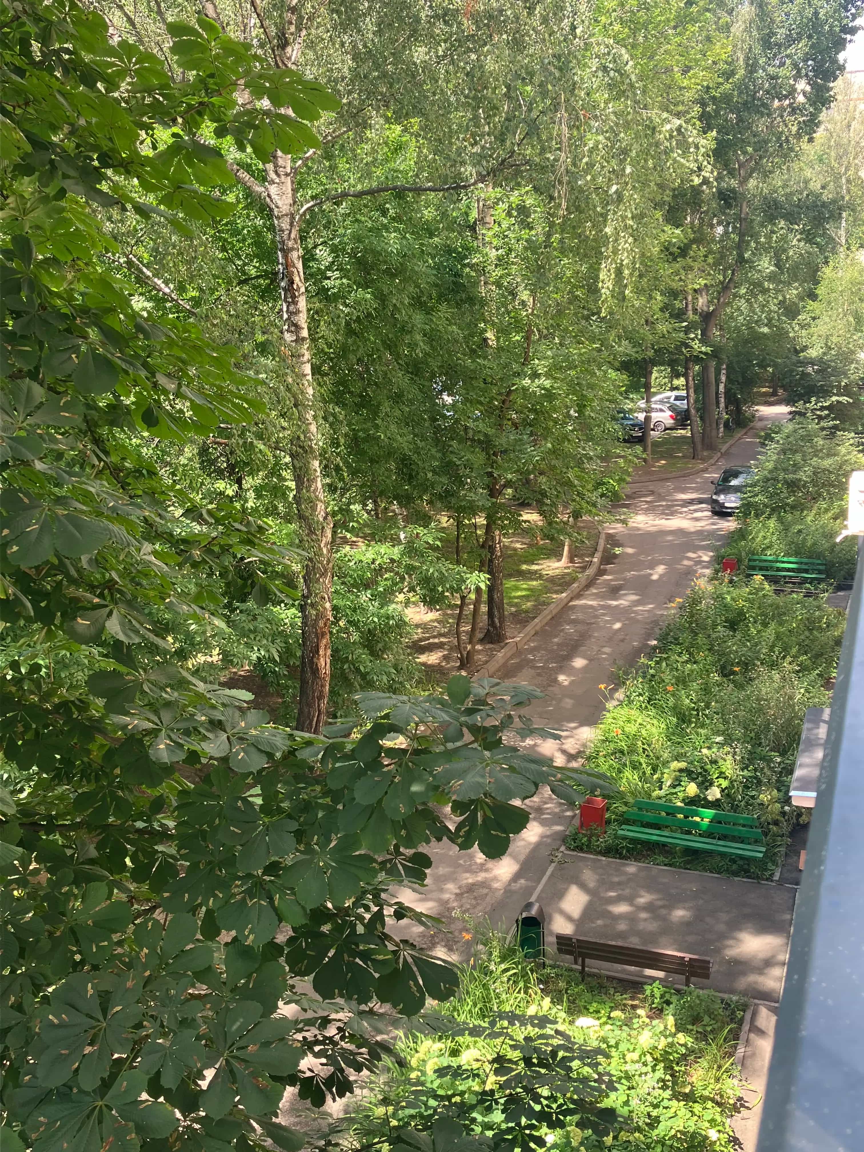 Беларусь, Гомель, Ветковская улица, 6, фото 15