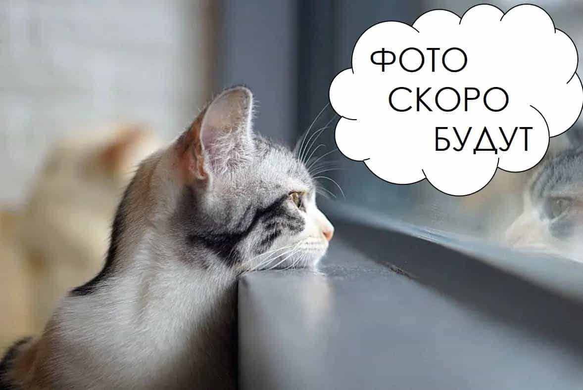 Беларусь, Минск, улица Михася Лынькова, 91, фото 3