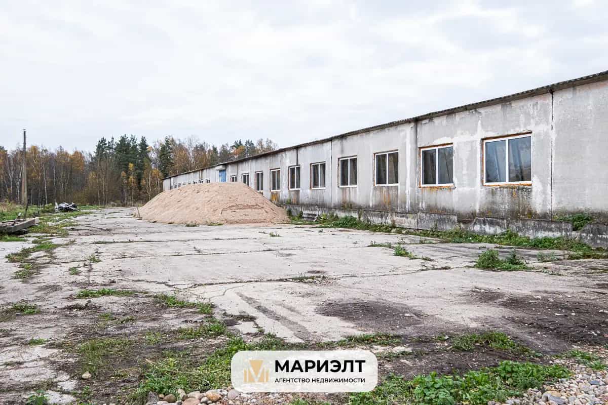 Беларусь, Минская область, Молодечненский район, Радошковичский сельсовет, деревня Декшняны, 12, фото 6