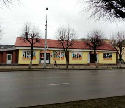 Беларусь, Минская область, Борисов, проспект Революции, 64, фото 3
