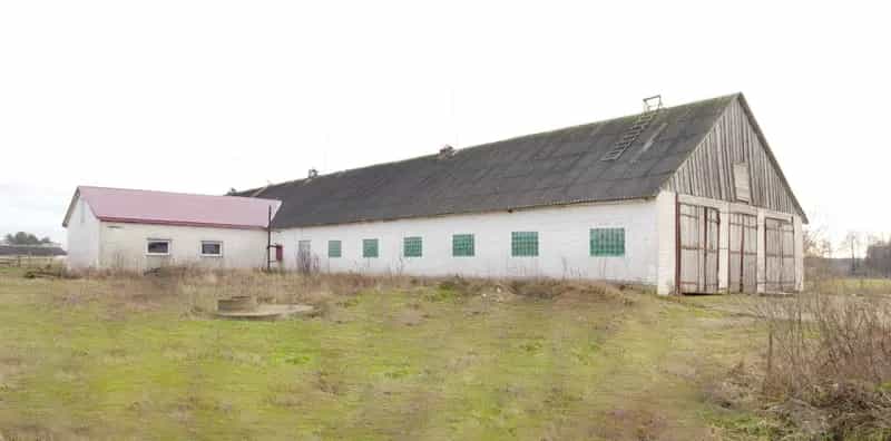 Беларусь, Гродненский район, Гожский сельсовет, деревня Польница, Береговая улица, 10И