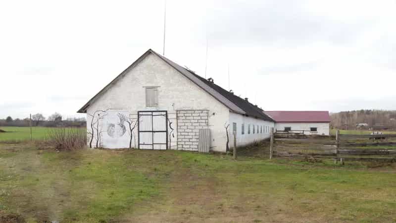 Беларусь, Гродненский район, Гожский сельсовет, деревня Польница, Береговая улица, 10И, фото 2