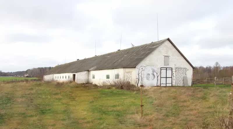 Беларусь, Гродненский район, Гожский сельсовет, деревня Польница, Береговая улица, 10И, фото 6