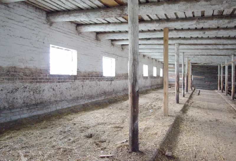 Беларусь, Гродненский район, Гожский сельсовет, деревня Польница, Береговая улица, 10И, фото 7