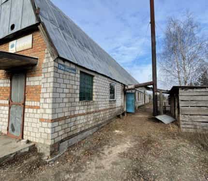 Беларусь, Гомельская область, Рогачёв, улица Александра Пушкина, 70Е, фото 2
