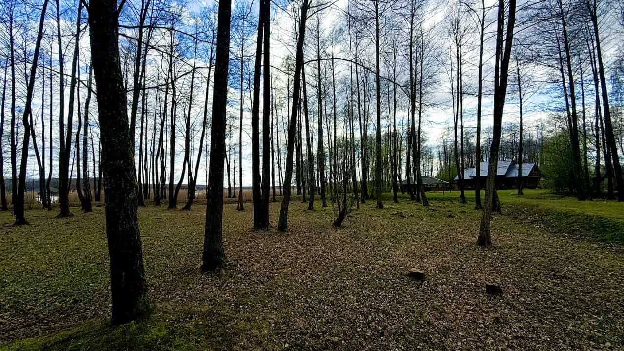 Беларусь, Гродненский район, агрогородок Озёры, Советская улица, 1, фото 11