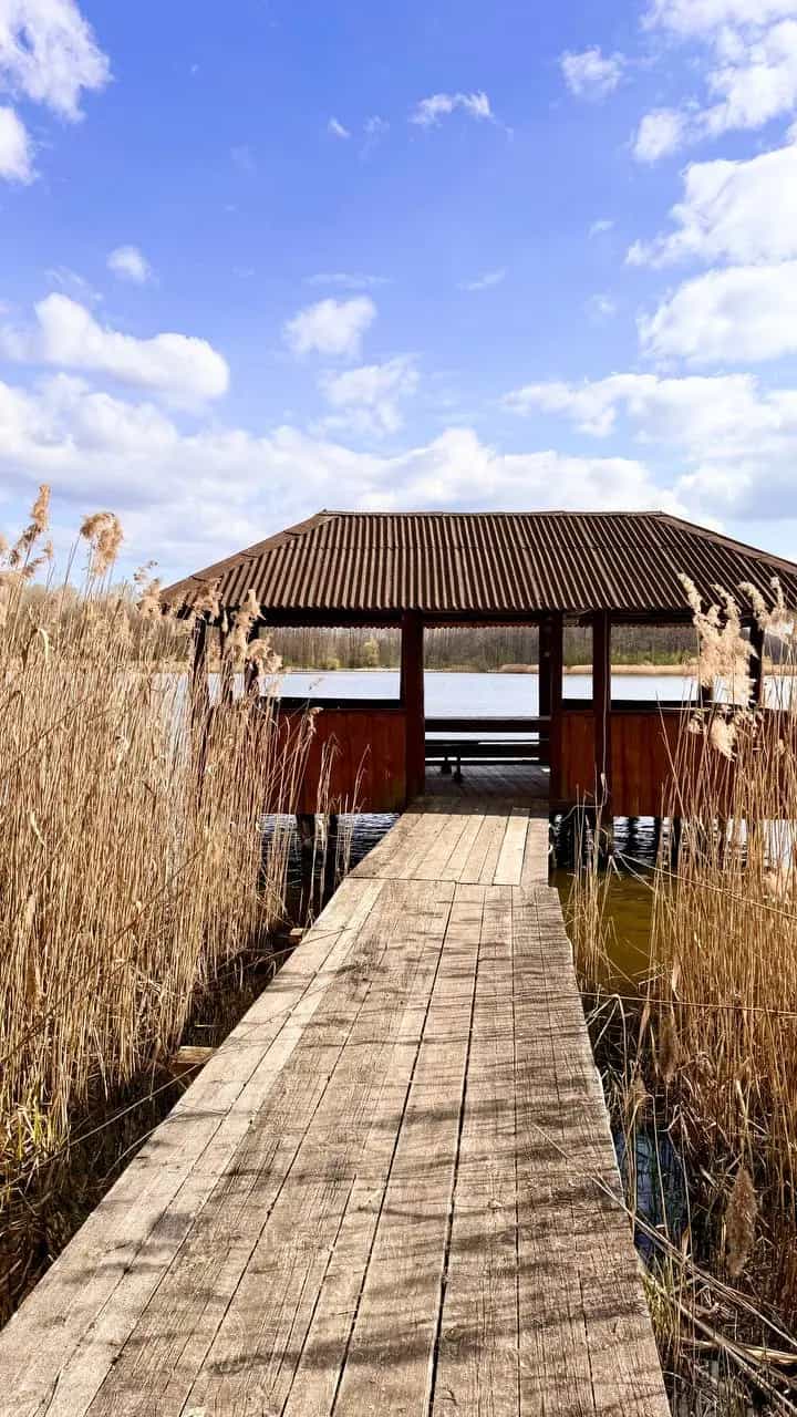 Беларусь, Гродненский район, агрогородок Озёры, Советская улица, 1, фото 14