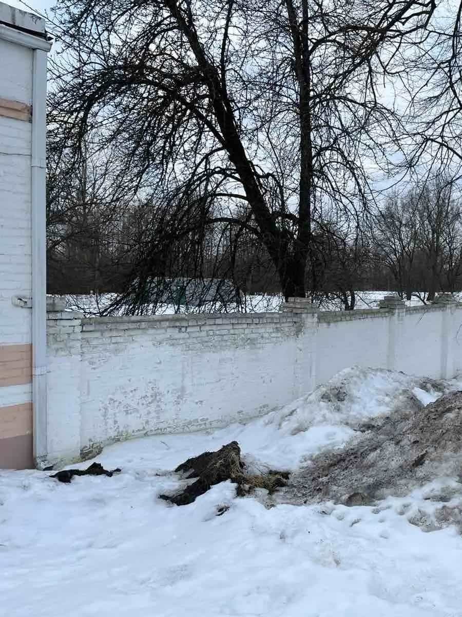 Беларусь, Гомельская область, Петриков, Коммунальная улица, 87, фото 20