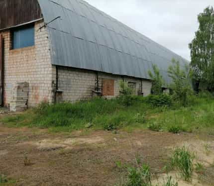 Беларусь, Гомельская область, Ветка, улица Дмитрия Ковалёва, уч116, фото 2