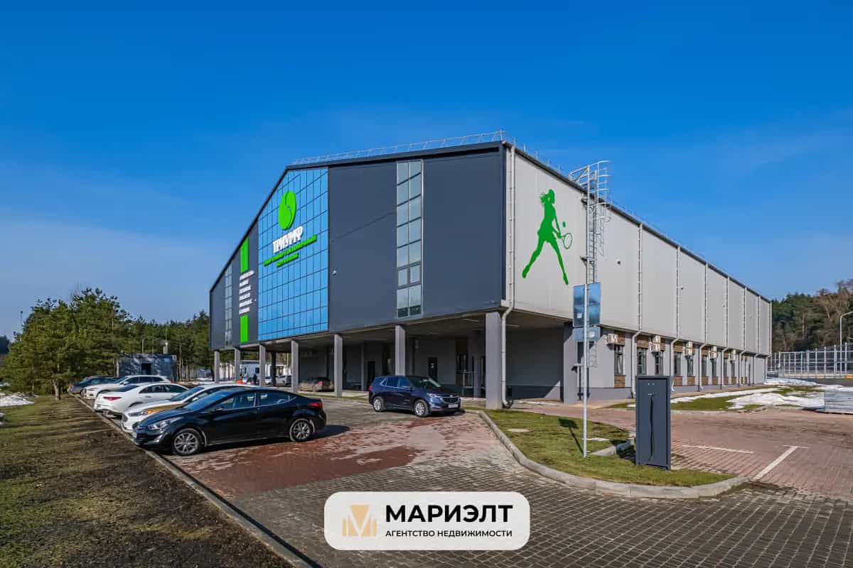 Беларусь, Минский район, Боровлянский сельсовет, 308, фото 39