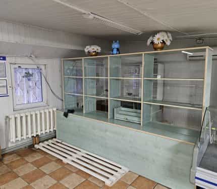 Беларусь, Минская область, Молодечненский район, Красненский сельсовет, агрогородок Видевщина, Центральная улица, 6Б, фото 3