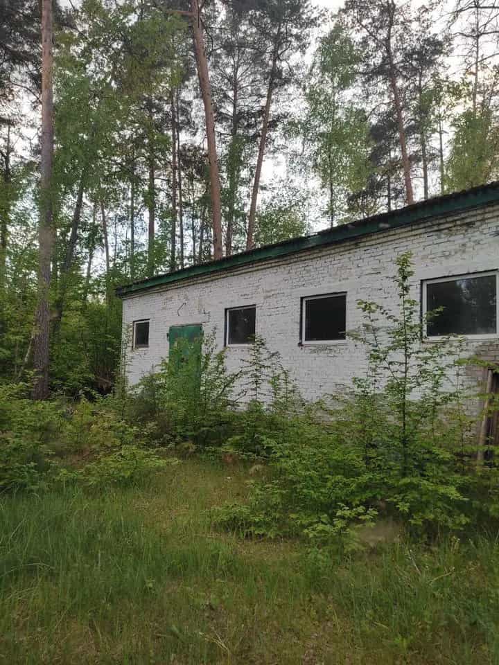 Беларусь, Гомельская область, Речицкий район, деревня Борщёвка, Трудовая улица, 2