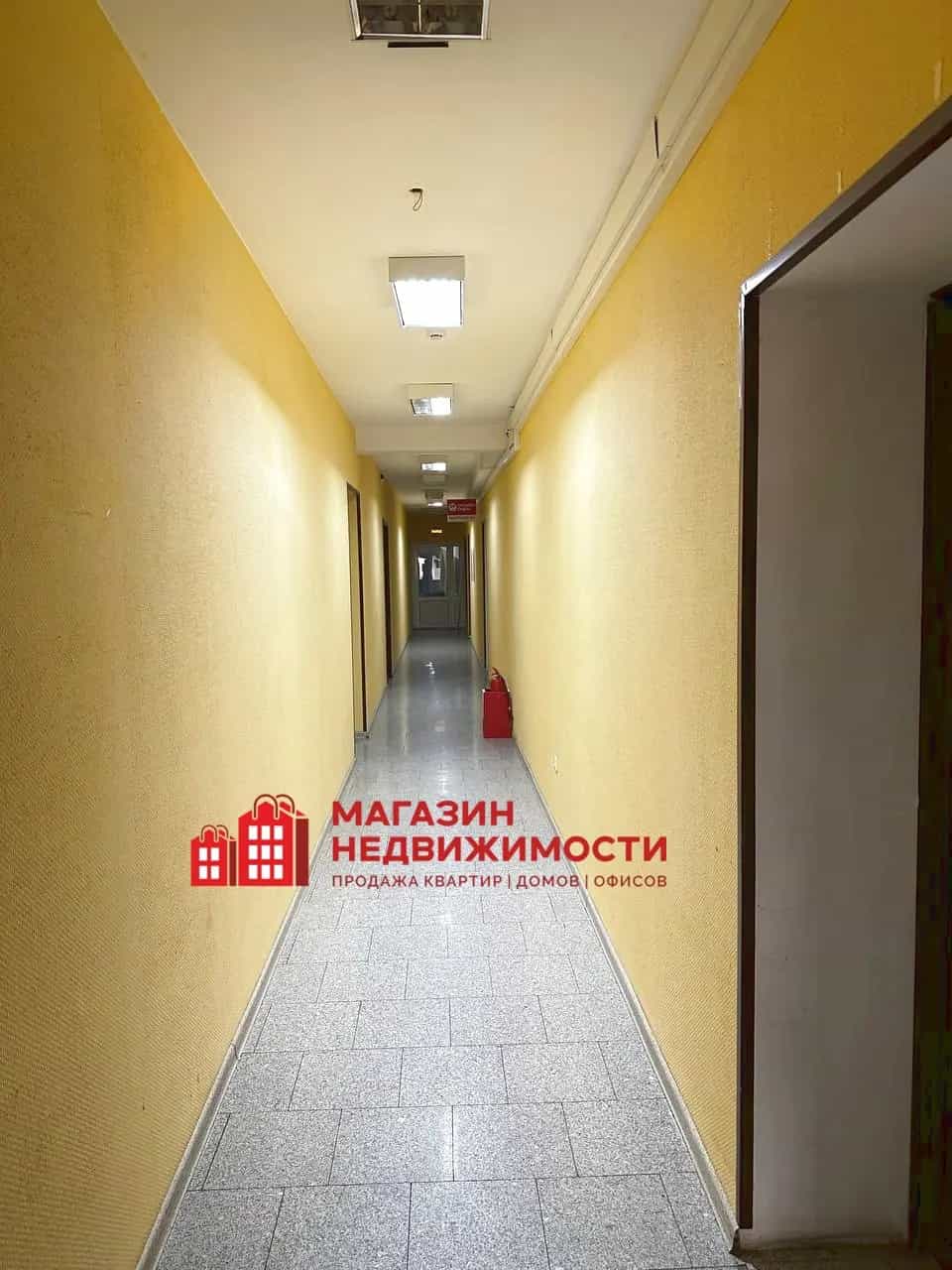 Беларусь, Гродно, улица Тимирязева, 10к1, фото 7