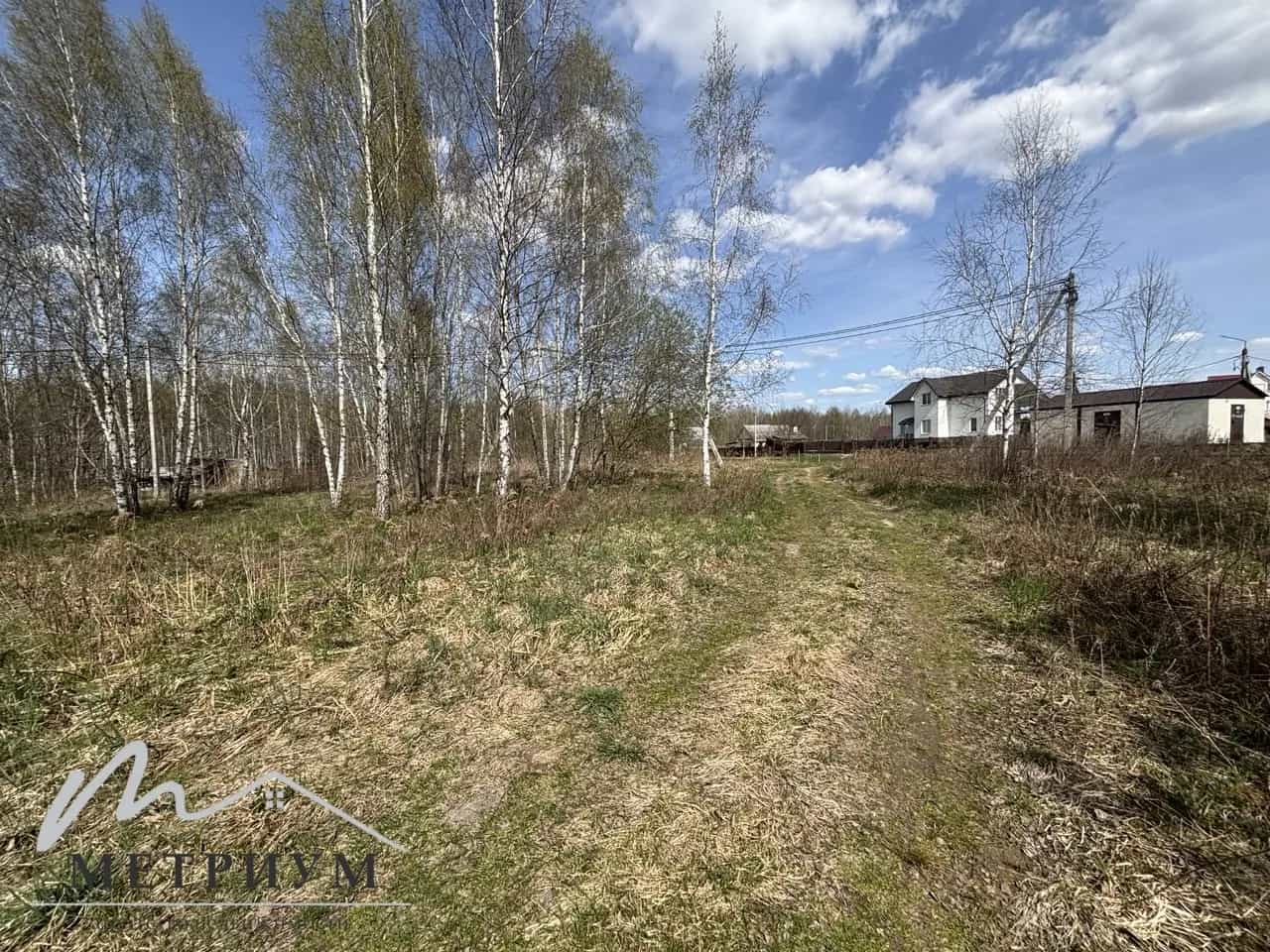 Беларусь, Минский район, Михановичский сельсовет, деревня Алексеевка, Виноградная улица, 2, фото 3