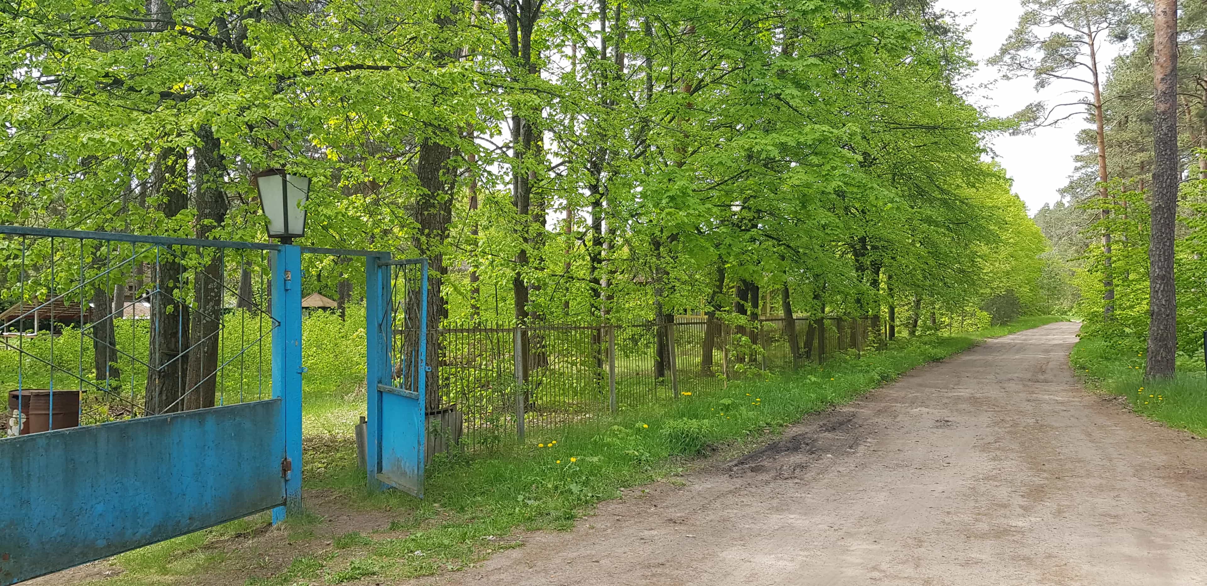 Беларусь, Витебский район, Летчанский сельсовет, деревня Луки, Сосновая улица, 18А, фото 9