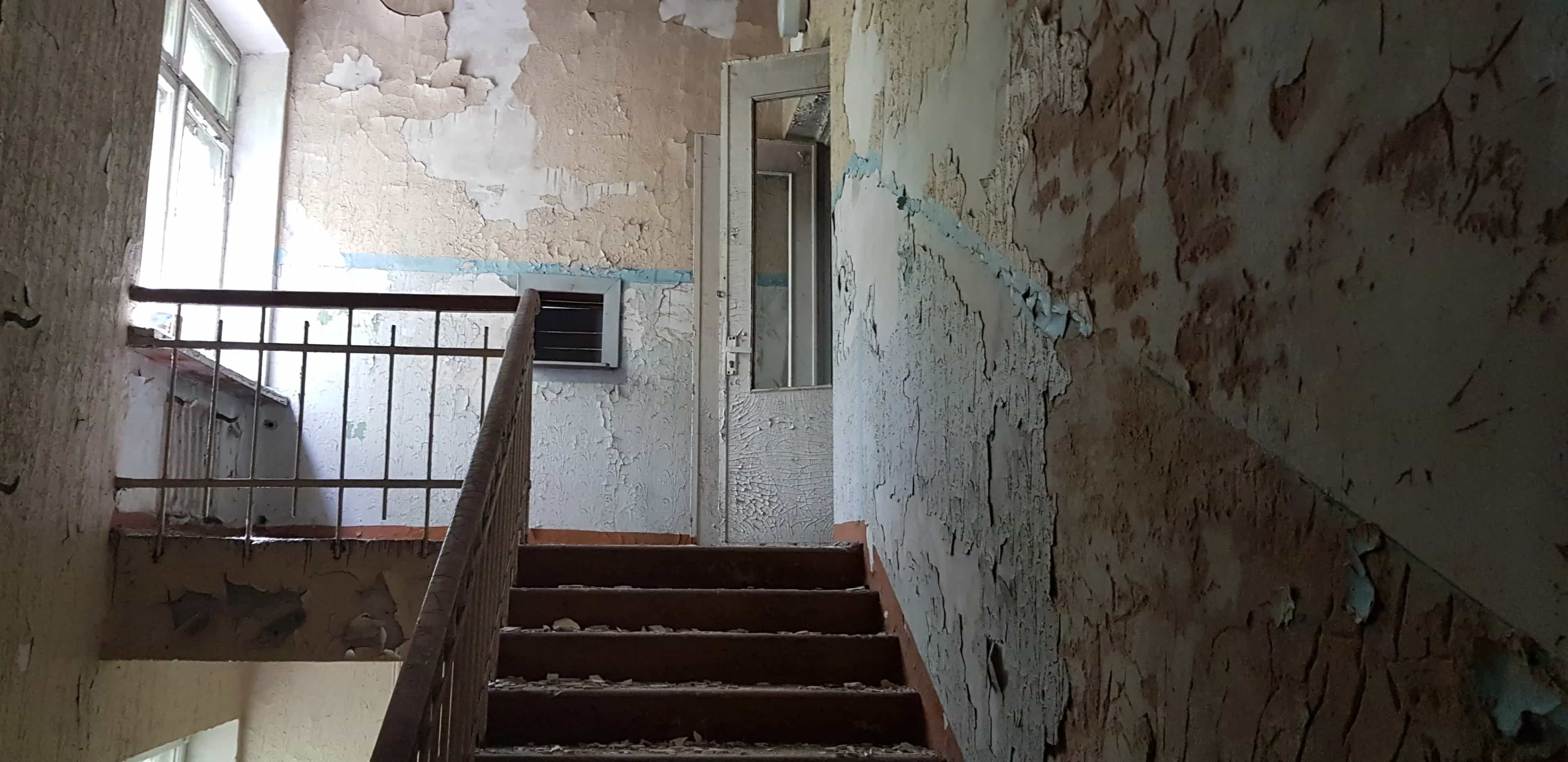 Беларусь, Витебский район, Летчанский сельсовет, деревня Луки, Сосновая улица, 18А, фото 15