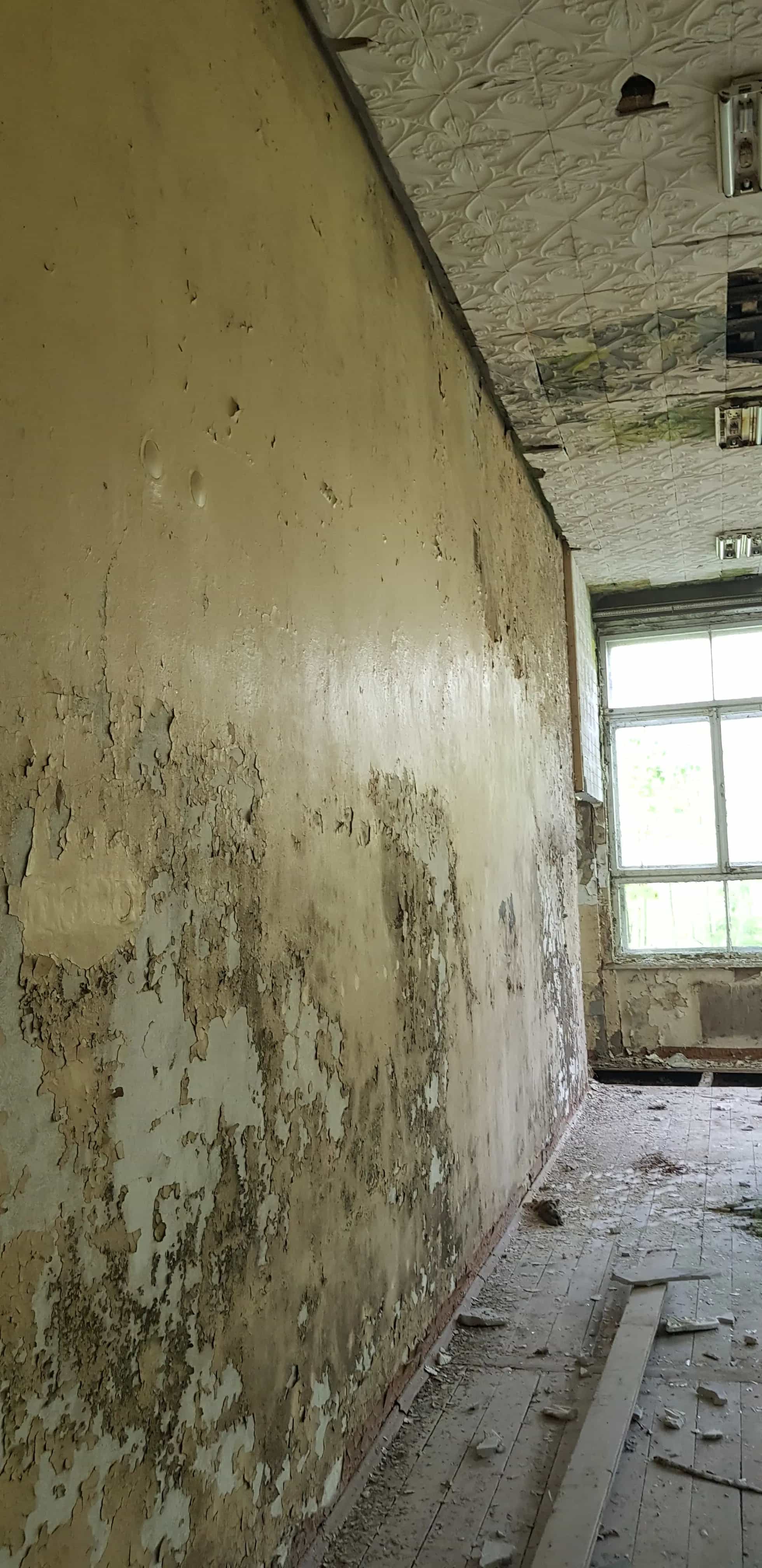 Беларусь, Витебский район, Летчанский сельсовет, деревня Луки, Сосновая улица, 18А, фото 16