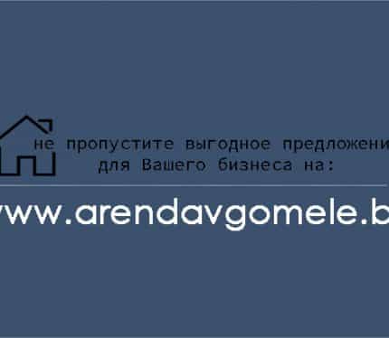 Беларусь, Гомельская область, Речица, улица Ленина, 120, фото 10