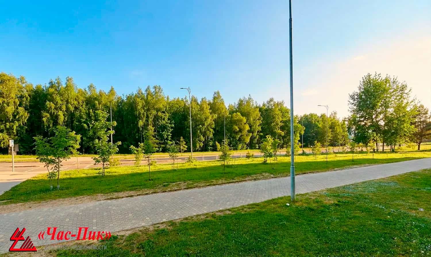 Беларусь, Минск, улица Академика Купревича, 16, фото 5