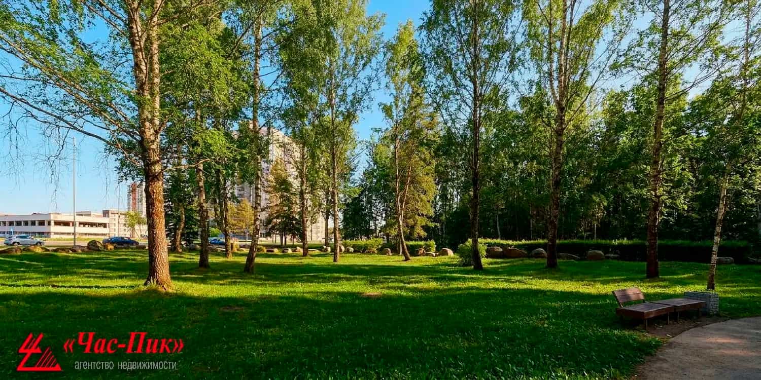 Беларусь, Минск, улица Академика Купревича, 16, фото 6