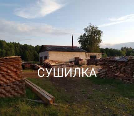 Беларусь, Гомельская область, Мозырский район, Каменский сельсовет, агрогородок Каменка, Советская улица, 40, фото 6