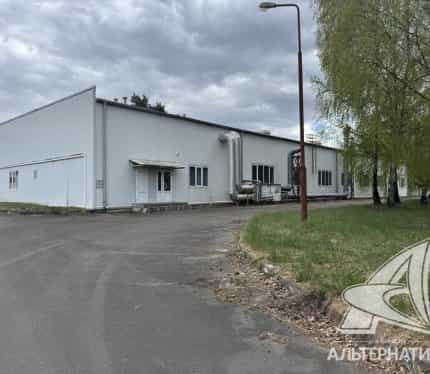 Беларусь, Брестский район, агрогородок Томашовка, Советская улица, 36, фото 2