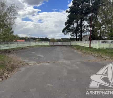 Беларусь, Брестский район, агрогородок Томашовка, Советская улица, 36, фото 6