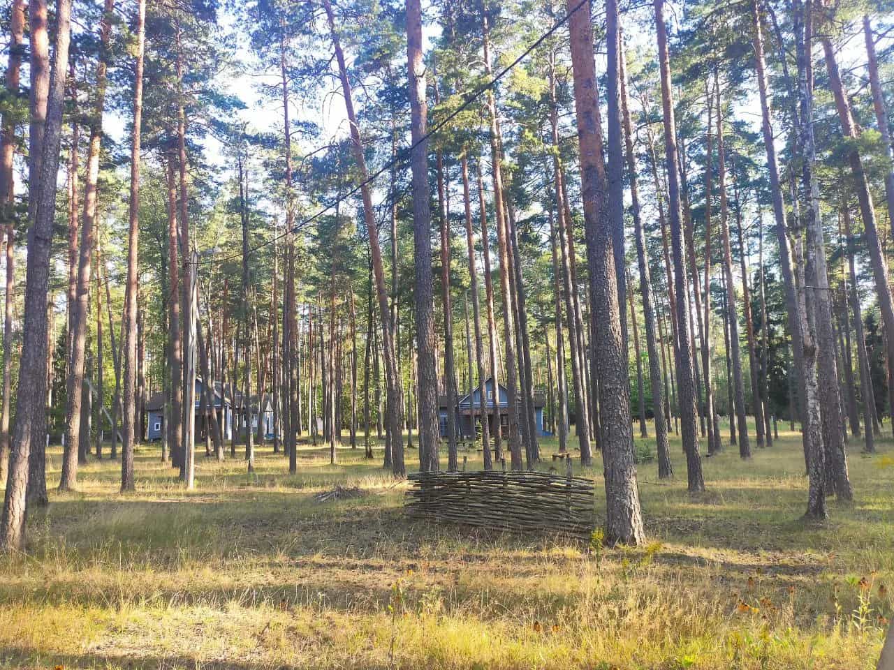 Беларусь, Могилёвская область, Бобруйский район, Сычковский сельсовет, деревня Мирадино, Пионерская улица, 11, фото 11